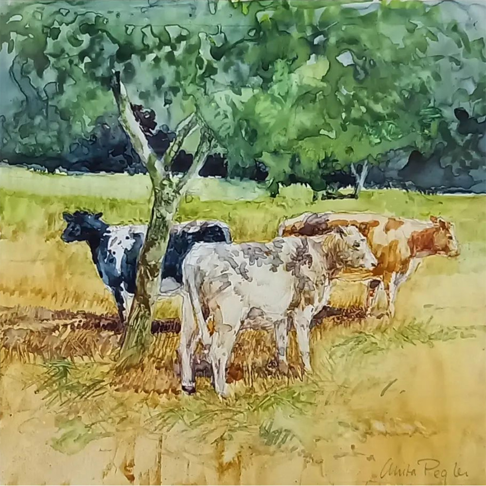 Anita Peglar watercolour Cows